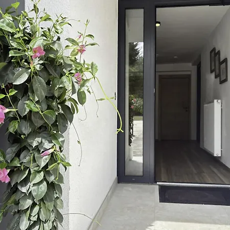 Typ A-3 By Interhome Rosegg